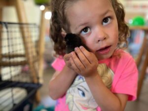 A young Lay Me A Rainbow customer enjoying her baby chicks